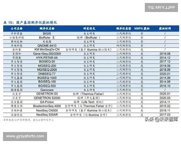 如何通过专业知识与精准策略成为顶尖的杀码专家并获得成功 如何通过专业知识与精准策略成为顶尖的杀码专家并获得成功